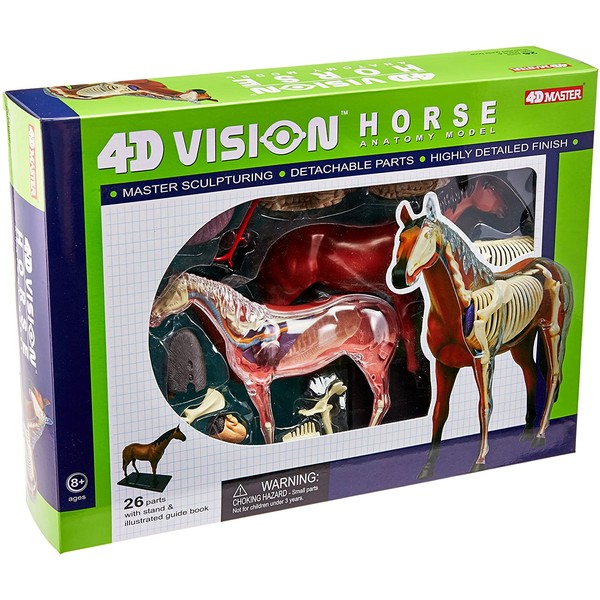 Tedco 4D Vision Horse Model