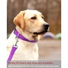 Reflective Dog Collar with Buckle Adjustable Safety Nylon Collars for