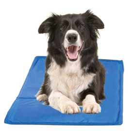 Chillz Dog Cooling Mat, Large - Pressure Activated Pet Cooling Mat for Dogs - No Water or Refrigeration Needed - Non-Toxic Gel Cooling Pad, Ideal for Home, Travel and Crates - 36 x 20 Inches