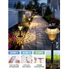 SOLPEX Solar Pathway Lights Garden Decor for Yard, Garden Lights