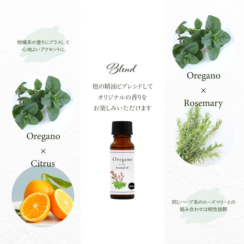Natural 100% Oregano Oil 20ml Essential Oil Essential Oil Aroma