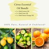Absolute Aromas Citrus Essential Oils Bundle - Set of 3