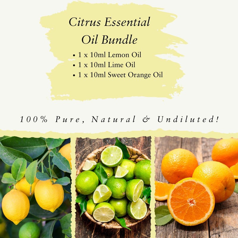 Absolute Aromas Citrus Essential Oils Bundle - Set of 3
