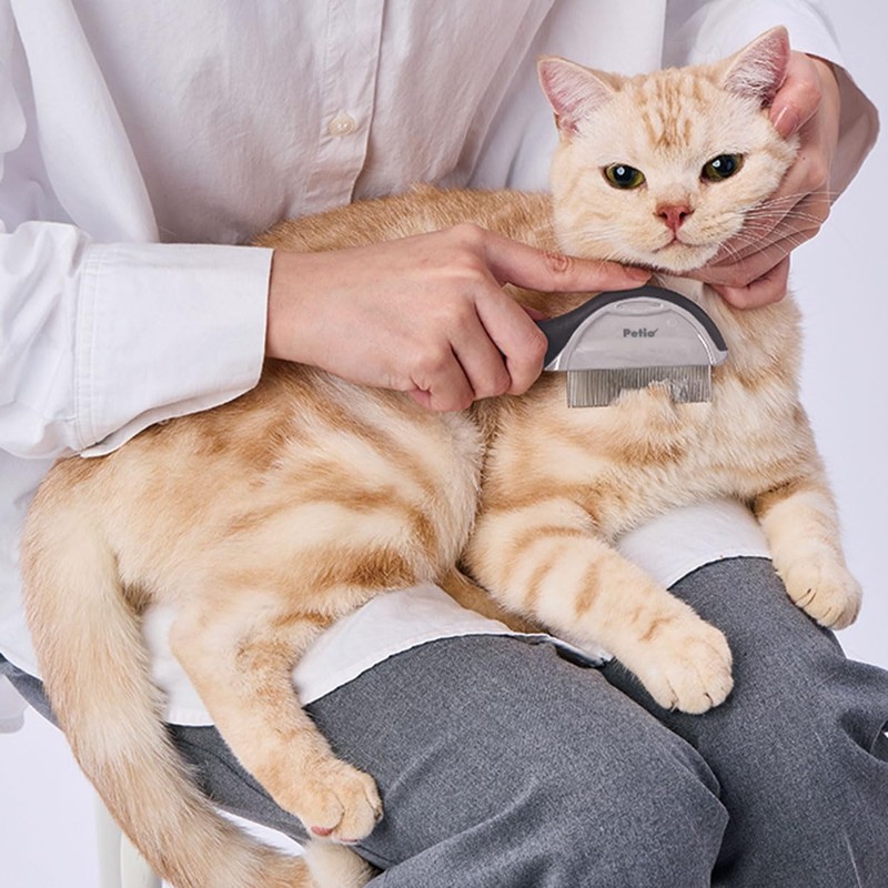 Petio FIXCARE Chisel Remover Comb with Cover for Dogs and