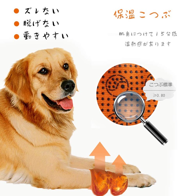 Due Felice Dog Rehabilitation Dog Joint Protector, Knee Support, Pet