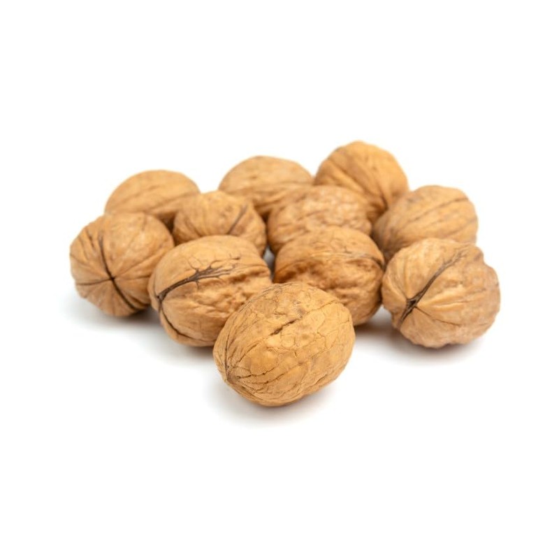 In Shell California Walnuts - TWIN PACK - 2/32 oz.