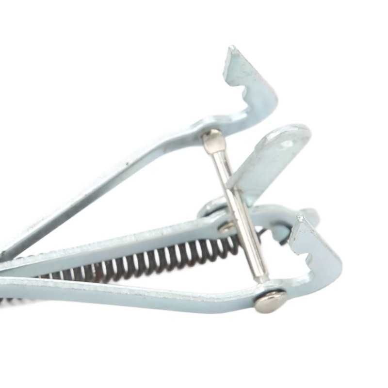 10pcs Stainless Steel Crab Grabber Rustproof Seafood Grabber with Spring