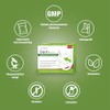 Dr. Böhm Intestinal Active: To Support Constipation and Hard Stools,