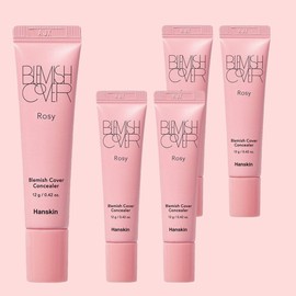 Hanskin Blemish Cover Concealer 12g, Rosy, 5 ea. / 한스킨 블레미쉬 커버 컨실러 12g, 로지, 5개