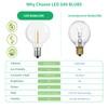 Meconard G40 1.57 Inch Led Replacement Light Bulbs, E12 Screw