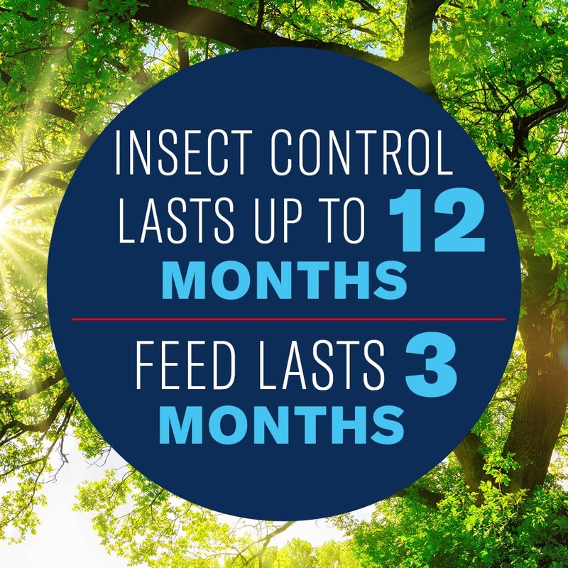 BioAdvanced 12 Month Tree Protect & Feed Concentrate II, 1