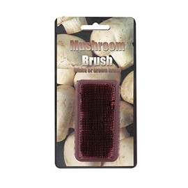 MUSHROOM BRUSH (CD)