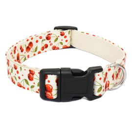 Bubblepup - Collar para perro, diseño de flores, para niñas, pequeñas, medianas, grandes