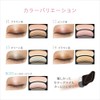Orb Powder Brush One Paint Shadow N (14 Brown Type)