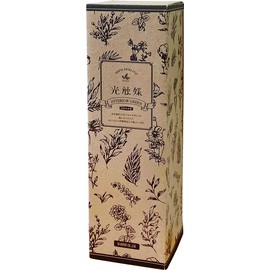 Keystone Interior Green Long Pot Olive Size: Approx. φ0.6 inches (17 cm), L16.5 inches (42 cm), KJ165804