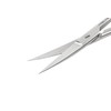 REMOS Household Scissors, Universal Scissors, Pointed, Curved Cutting Edge, 12
