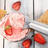 2 Pack Ice Cream Scoops Fruit Balls Cookie Spoons Non-Stick