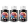 Just Ripe Nutrition IQ Blast Pro Brain Supplement Enhance Cognitive