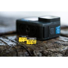 Lexar 256GB Professional Gold Micro SD Card, UHS-II, C10, U3, V60, A1, Full HD, 4K, Up to 280/180 MB/s microSDXC Memory Card, for Drones, Action Cameras, Portable Gaming Devices (LMSGOLD256G-BNNNG)