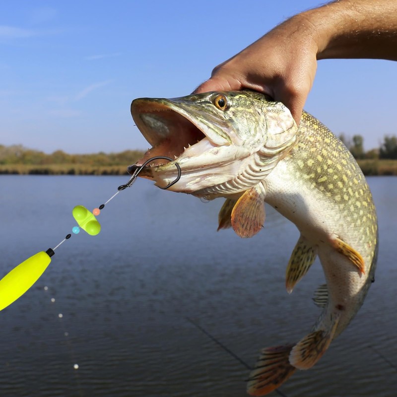 Catfish Rigs,Catfishing Rigs for River Fishing | Compact Multi Functional