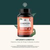 LIFE 360 Cordyceps Extracto Puro de Hongo Cordyceps 1200mg, 90