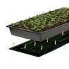 iPower 48" x 20" Waterproof Durable Seedling Heat Mat Warm