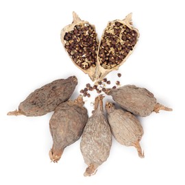 Organic African Alligator Pepper Atare, Mbongo Spice, Hepper Pepper, Grains of Paradise Pods, Guinea Pepper, Mbongo Spice, Pimienta de Guinea, African Spices (5 Pods)