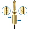 deleyCON Banana Plug Set, Gold-Plated, Screw-On for Speaker Cable, Box