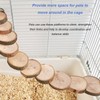 Wooden Hamster Ladder Bridge Wooden Hamster Climbing Toy to Play