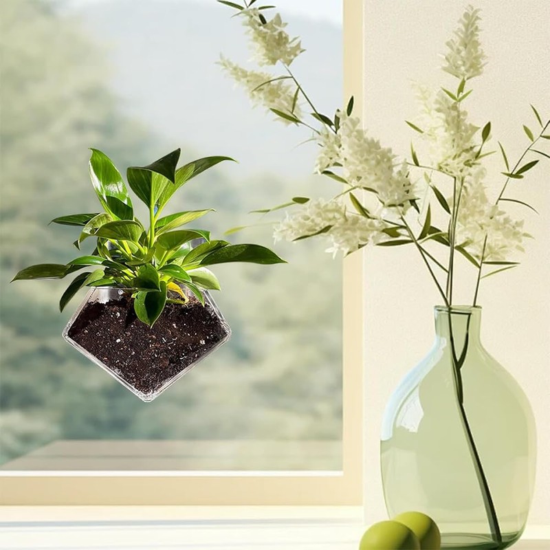 NYGHMY 1 Pcs Diamond Shape Acrylic Window Planter - Transparent