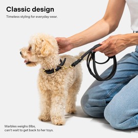 Scout Supply Classic Leather Dog Leash | Strong Heavy Duty Thick Full Grain Leather | Waterproof & Rust-Proof Brass Hardware (Black, L: 4.5 ft x 2/3 in)