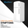 BlueStars W10311524 Fresh Flow Air Filter - Replacement Refrigerator Air