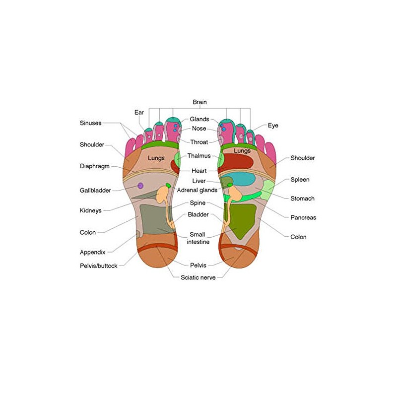 kittiya Lot of 3 Thai Traditional Reflexology Foot Massage Stick
