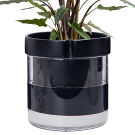 Phoenix Vine 8 Inch Self Watering Terracotta Planter, Black Terracotta Clay Pot with Glass Reservoir for Indoor Plants, Herbs, Flowers, Set of 1, 52-C-H-1