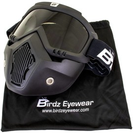 Birdz Eyewear Skylark Motorcycle Goggles Removable Face Mask Black Frames One Pair Clear Lens One Pair Yellow Lens