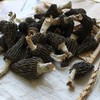 Jumbo Dried Morel Morchella Mushroom Crop Top Grade Premium Quality