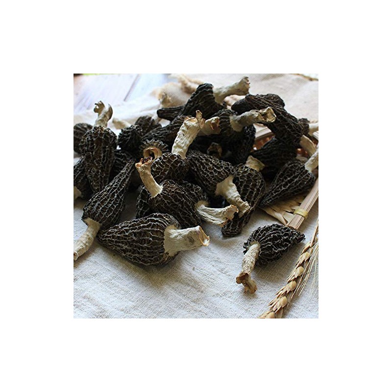 Jumbo Dried Morel Morchella Mushroom Crop Top Grade Premium Quality