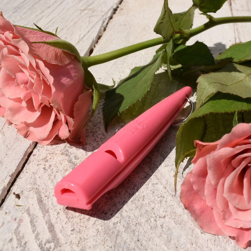 ACME Dog Whistle No. 210.5 with Instructions - The Original