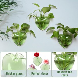 Wall Hanging Planter Propagation Station for Indoor Plants Glass Vase Air Plant Holder for Bathroom Living Room