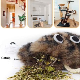 Aidiyapet Cat Toys for Indoor Cats Adult, Interactive Catnip Toy with Crinkle, Self-Play Chasing Exercise Entertain Cat Toy - for Hunting Exercising Eliminating Boredom, All Breed Sizes