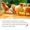 100 Pcs Adjustable Chicken Leg Bands, Newly Hatched Chick Spraddle
