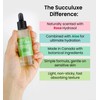 Succuluxe Hydration Serum - with Hyaluronic Acid, Aloe Vera &
