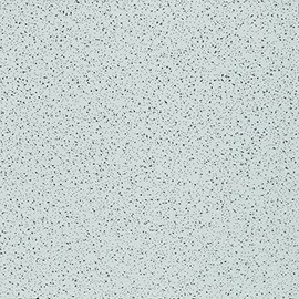 USG GIDDS-5275672 R2120 Radar Ceiling, 2X2 Ft. X 5/8 in, 16 Tiles Per Box-5275672, 2 x 2 x 5/8"