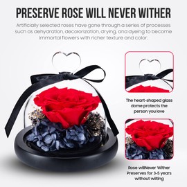 Norcalway Premium Gifts - Forever Preserved Rose in Glass Dome - Beauty and The Beast Rose Decor in a Glass Dome for Decorations