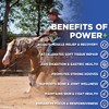 Power+ Horse Supplement - 9 Equine Amino Acids Plus Probiotics