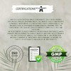 Alpha-GPC 600mg per Daily Dose - 90 Vegan Choline Capsules