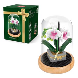 LUFEIS Flower Building Blocks Set, Rose Immortal Bouquet Building Block with Protective Case, Artificial Plants Building Blocks for Adults, Gift for Mum Girlfriend (White Phalaenopsis)