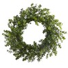 Nearly Natural 24in. Eucalyptus Artificial Wreath