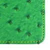 On Par Ostrich Scorecard Holder Green/Yellow