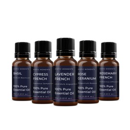 Mystic Moments | Essential Oils of France Essential Oil Gift Starter Pack 5x10ml | Basil Cypress, French Lavender, French Rose Geranium, Rosemary French | Perfect as a Gift